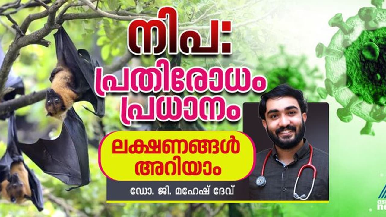വീണ്ടും നിപ വൈറസ് ; പ്രധാനപ്പെട്ട ലക്ഷണങ്ങൾ എന്തൊക്കെ? എങ്ങനെ പ്രതിരോധിക്കാം? വീണ്ടും നിപ വൈറസ് ; പ്രധാനപ്പെട്ട ലക്ഷണങ്ങൾ എന്തൊക്കെ? എങ്ങനെ പ്രതിരോധിക്കാം?