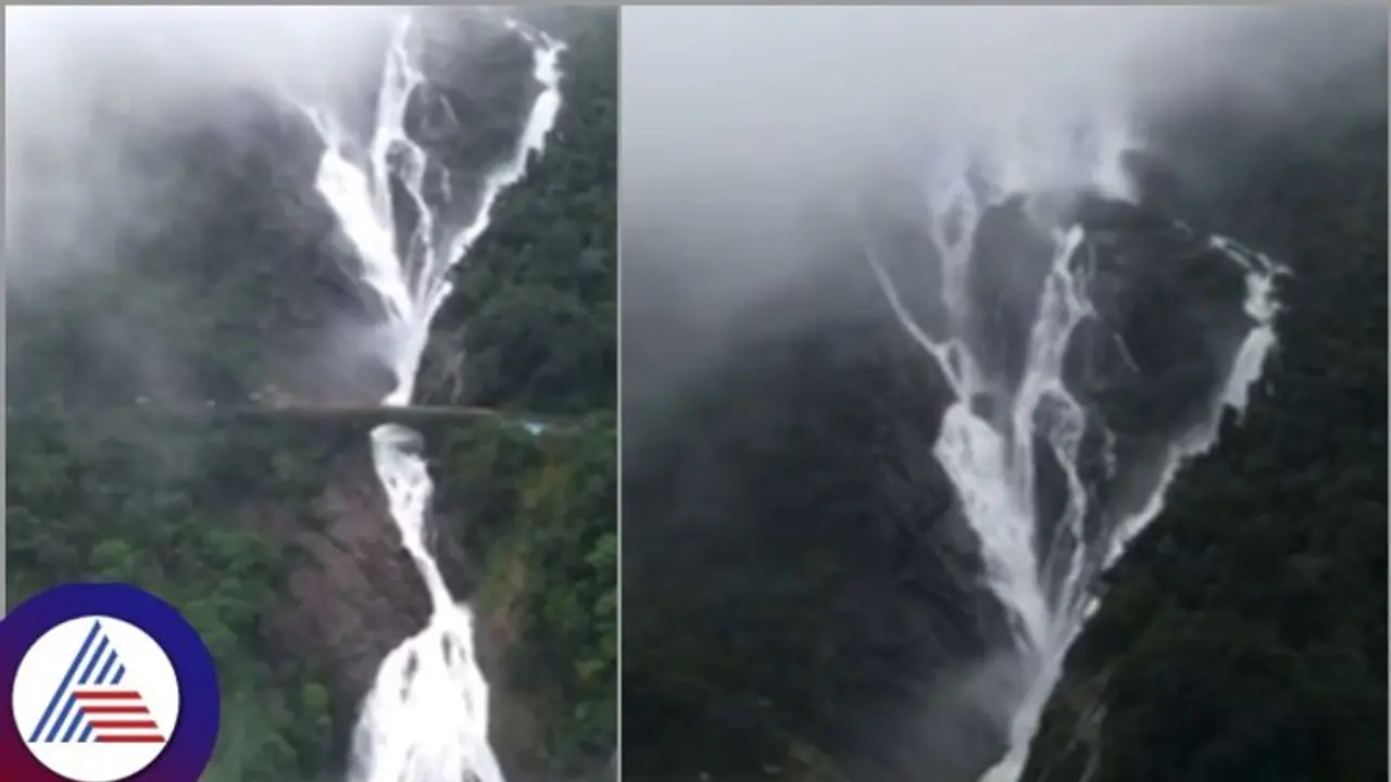 Goa govt imposes temporary ban on visiting world famous Dudhsagar waterfalls citing safety concerns