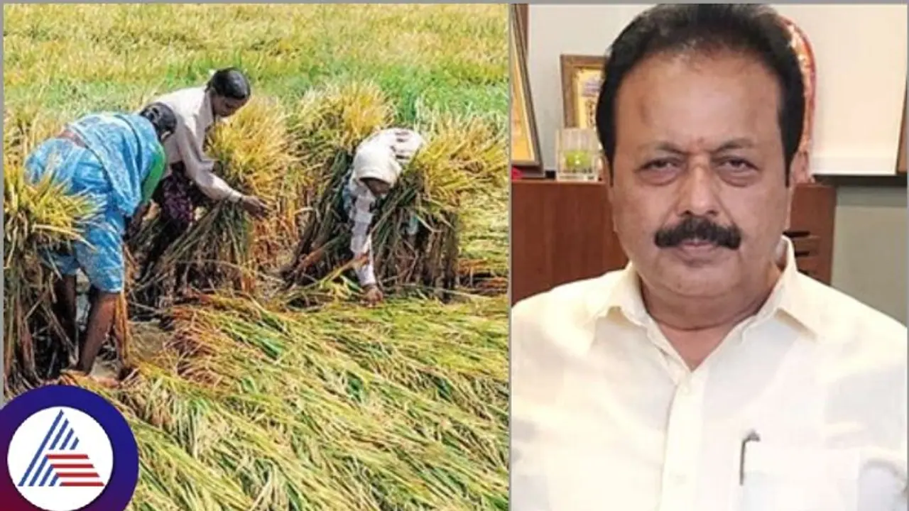 ರೈತರಿಗೆ ಕಳೆದೊಂದು ವರ್ಷದಲ್ಲಿ 1,970 ಕೋಟಿ ರೂ. ಬೆಳೆ ವಿಮೆ ಪರಿಹಾರ ಕೊಡಿಸಿದ್ದೇವೆ: ಕೃಷಿ ಸಚಿವ ಚಲುವರಾಯಸ್ವಾಮಿ
