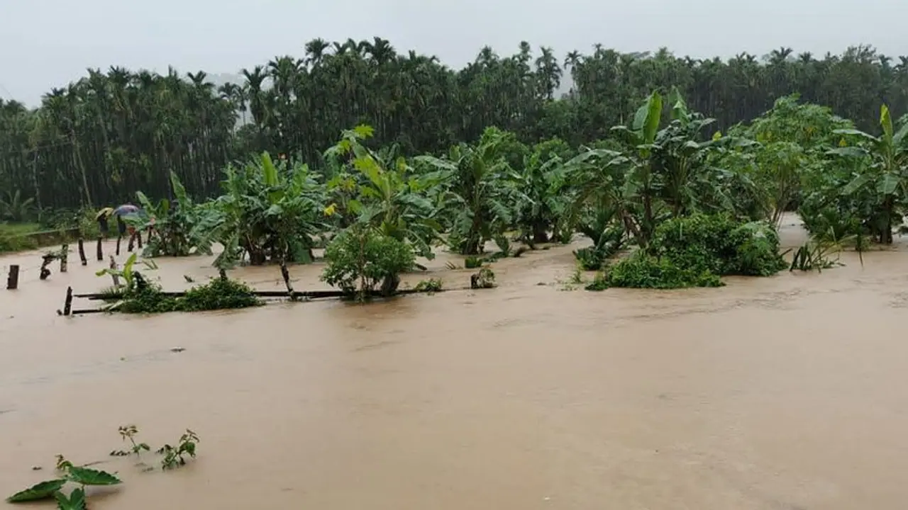 Karnataka: Chikkamagaluru faces loss of over Rs 100 crore due to monsoon, ban for Mullayanagiri peak continues Karnataka: Chikkamagaluru faces loss of over Rs 100 crore due to monsoon, ban for Mullayanagiri peak continues