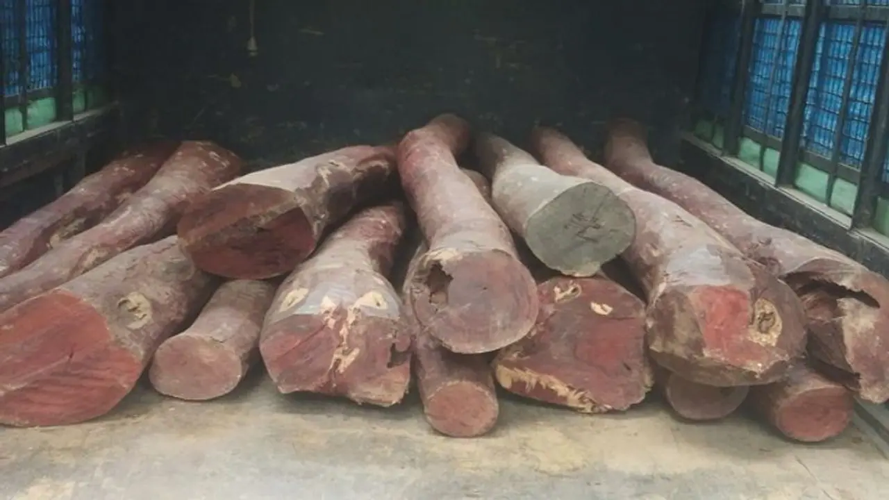 ಆಂಧ್ರದಿಂದ ತುಮಕೂರಿಗೆ ಸಾಗಾಟ ವೇಳೆ ದಾಳಿ: ಒಂದು ಕೋಟಿ ಮೌಲ್ಯದ ರಕ್ತಚಂದನ ವಶ..! ಆಂಧ್ರದಿಂದ ತುಮಕೂರಿಗೆ ಸಾಗಾಟ ವೇಳೆ ದಾಳಿ: ಒಂದು ಕೋಟಿ ಮೌಲ್ಯದ ರಕ್ತಚಂದನ ವಶ..!