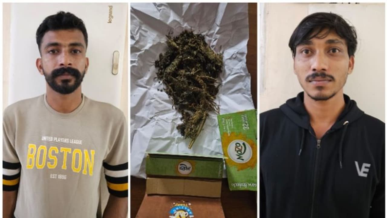 സ്കൂൾ പരിസരത്ത് കഞ്ചാവ് വിൽപ്പന; 2 പേർ പിടിയിൽ, ജയിലിൽ നിന്ന് ഇറങ്ങിയ യുവാവ് രണ്ടാഴ്ക്കകം വീണ്ടും അറസ്റ്റിൽ സ്കൂൾ പരിസരത്ത് കഞ്ചാവ് വിൽപ്പന; 2 പേർ പിടിയിൽ, ജയിലിൽ നിന്ന് ഇറങ്ങിയ യുവാവ് രണ്ടാഴ്ക്കകം വീണ്ടും അറസ്റ്റിൽ