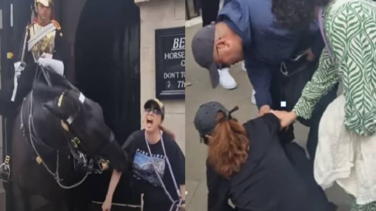 വീഡിയോ! ചിത്രം പകർത്താൻ ചെന്നു, കുതിരയുടെ കടിയേറ്റ് തലകറങ്ങി ഇരുന്നുപോയി യുവതി