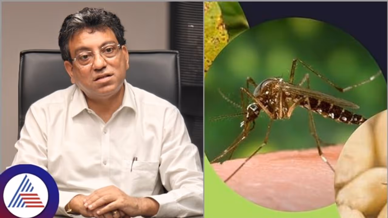 ಬೆಂಗಳೂರಿನ ಡೆಂಘೀ ಹಾಟ್ಸ್ಪಾಟ್ಗಳಲ್ಲಿ ಸೊಳ್ಳೆ ಕಚ್ಚದಂತೆ ಡೀಟ್ ಕ್ರೀಮ್ ಹಾಗೂ ನೀಮ್ ಆಯಿಲ್ ವಿತರಣೆ! ಬೆಂಗಳೂರಿನ ಡೆಂಘೀ ಹಾಟ್ಸ್ಪಾಟ್ಗಳಲ್ಲಿ ಸೊಳ್ಳೆ ಕಚ್ಚದಂತೆ ಡೀಟ್ ಕ್ರೀಮ್ ಹಾಗೂ ನೀಮ್ ಆಯಿಲ್ ವಿತರಣೆ!