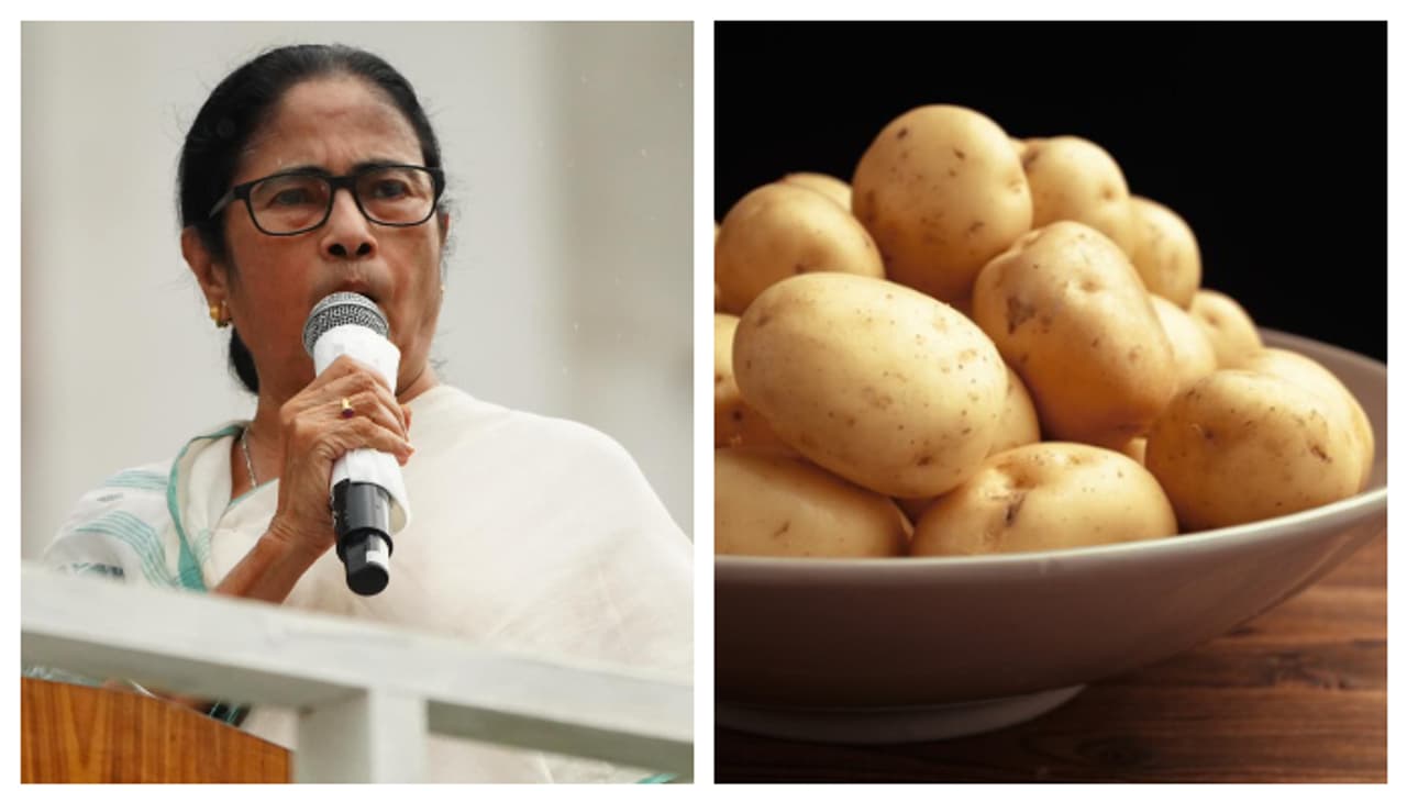 Mamata Banerjee told the cabinet meeting that she does not want any crisis over potatoes bsm Mamata Banerjee told the cabinet meeting that she does not want any crisis over potatoes bsm