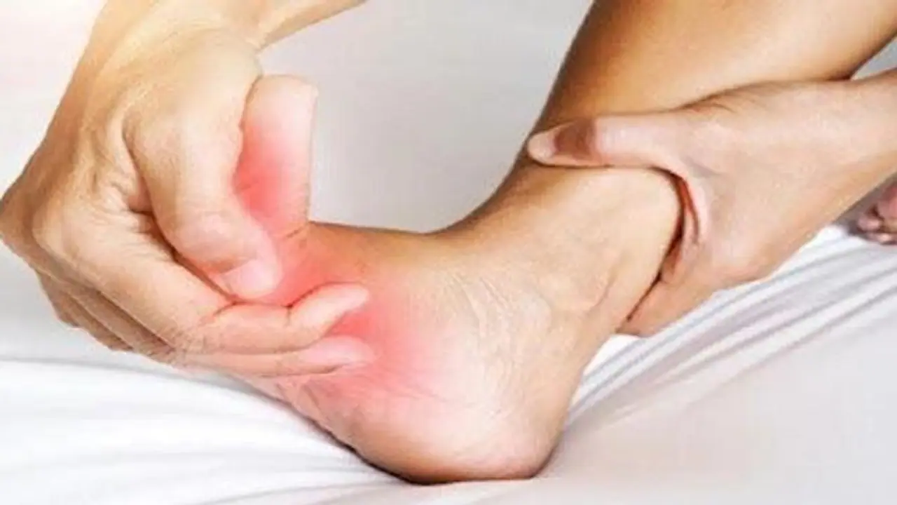 Health Tips: യൂറിക് ആസിഡ് തോത് കൂട്ടുന്ന പത്ത് ഭക്ഷണങ്ങൾ Health Tips: യൂറിക് ആസിഡ് തോത് കൂട്ടുന്ന പത്ത് ഭക്ഷണങ്ങൾ