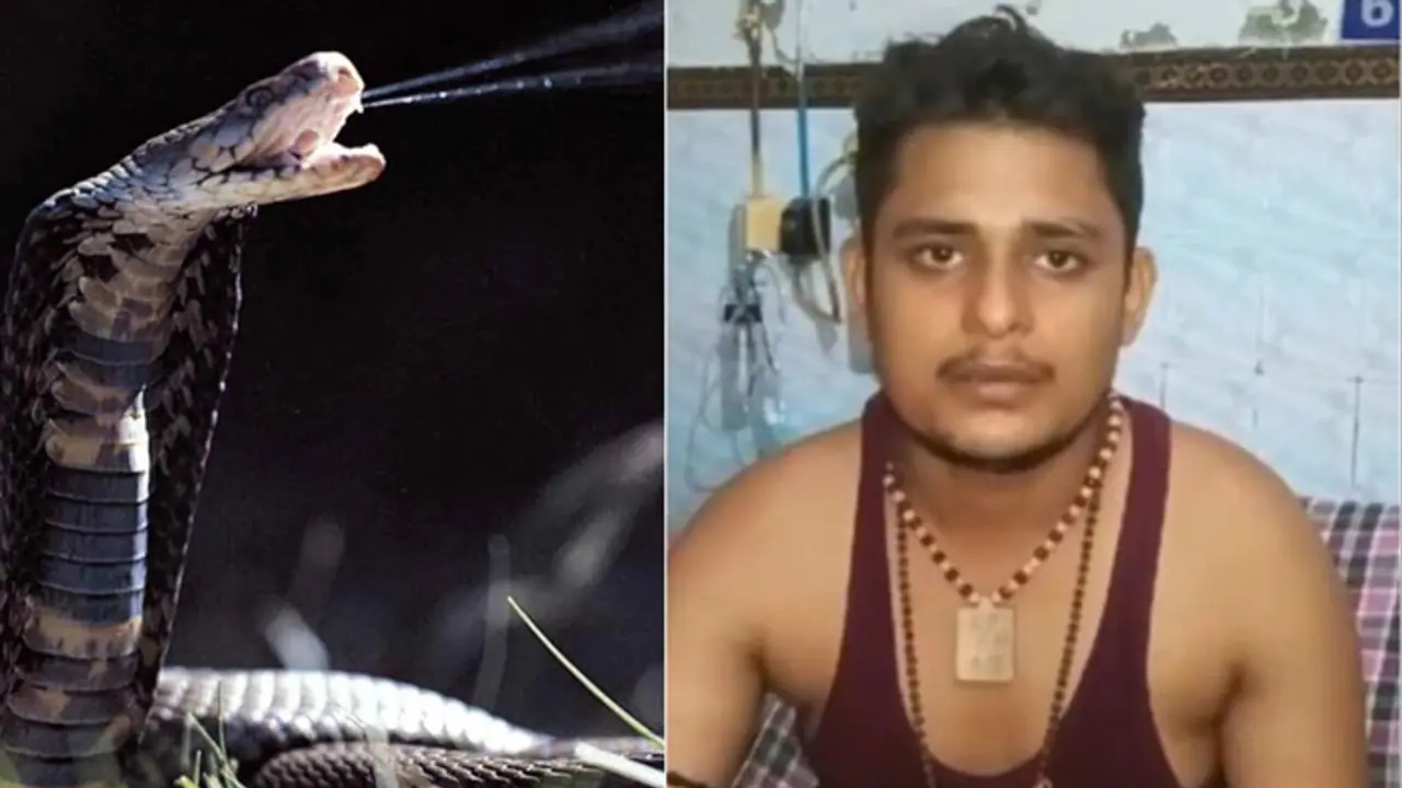 500 ಕಿಮೀ ದೂರ ಹೋದರೂ ಕಚ್ಚಿದ ನಾಗಪ್ಪ, ಇನ್ನೆಲ್ಲಿಗೆ ಹೋಗಲೆಂದು ಯುವಕ ಕಣ್ಣೀರು! 500 ಕಿಮೀ ದೂರ ಹೋದರೂ ಕಚ್ಚಿದ ನಾಗಪ್ಪ, ಇನ್ನೆಲ್ಲಿಗೆ ಹೋಗಲೆಂದು ಯುವಕ ಕಣ್ಣೀರು!