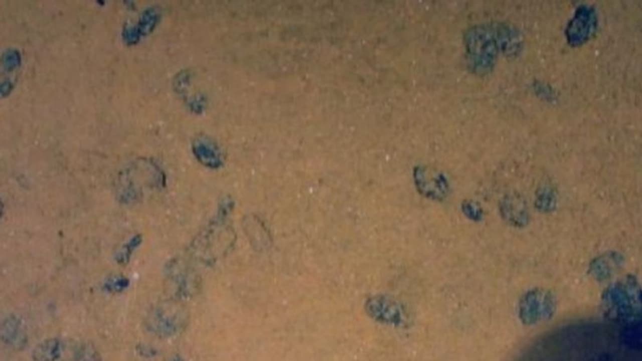 സൂര്യപ്രകാശത്തിന്റെ കണിക പോലുമില്ല; എന്നിട്ടും കടലില് 13,000 അടി താഴെ നിഗൂഢ ഓക്സിജന്! രഹസ്യം പുറത്ത് സൂര്യപ്രകാശത്തിന്റെ കണിക പോലുമില്ല; എന്നിട്ടും കടലില് 13,000 അടി താഴെ നിഗൂഢ ഓക്സിജന്! രഹസ്യം പുറത്ത്