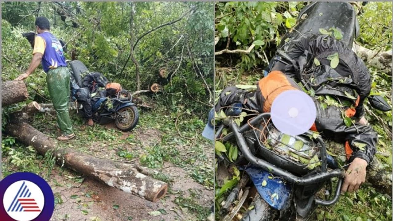 ರಣಭೀಕರ ಮಳೆಯಿಂದ ಉತ್ತರ ಕನ್ನಡದಲ್ಲಿ ಇನ್ನೂ ತಗ್ಗದ ಸಾವಿನ ಸರಣಿ; ಸ್ಥಳದಲ್ಲೇ ಅಪ್ಪಚ್ಚಿಯಾದ ಸ್ಕೂಟರ್ ಸವಾರ