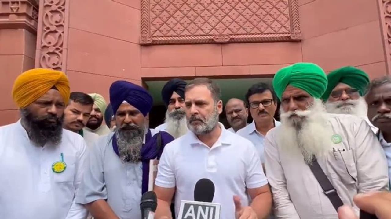 Congress leader Rahul Gandhi vows to press government for MSP law after talks with farmers Congress leader Rahul Gandhi vows to press government for MSP law after talks with farmers