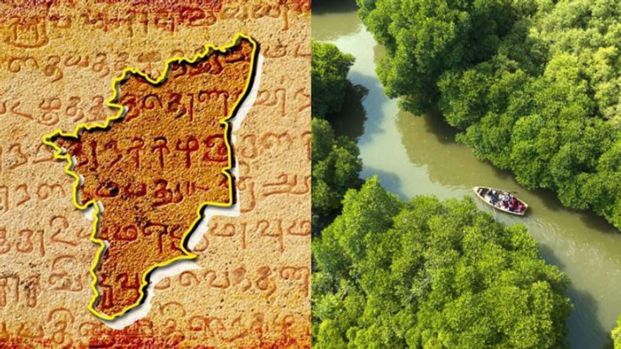 Amazing Facts: தமிழ்நாடு பற்றிய இந்த தகவல்கள் எல்லாம் உங்களுக்கு தெரியுமா?