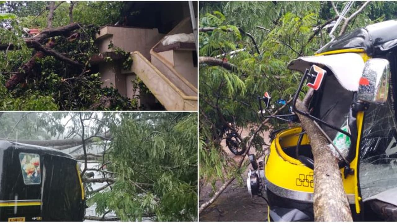 കനത്തമഴ, പറക്കാട് ഓടികൊണ്ടിരുന്ന ഓട്ടോറിക്ഷയിലേക്ക് മരം വീണ് അപകടം, വൈദ്യുതി പോസ്റ്റും മറിഞ്ഞുവീണു കനത്തമഴ, പറക്കാട് ഓടികൊണ്ടിരുന്ന ഓട്ടോറിക്ഷയിലേക്ക് മരം വീണ് അപകടം, വൈദ്യുതി പോസ്റ്റും മറിഞ്ഞുവീണു