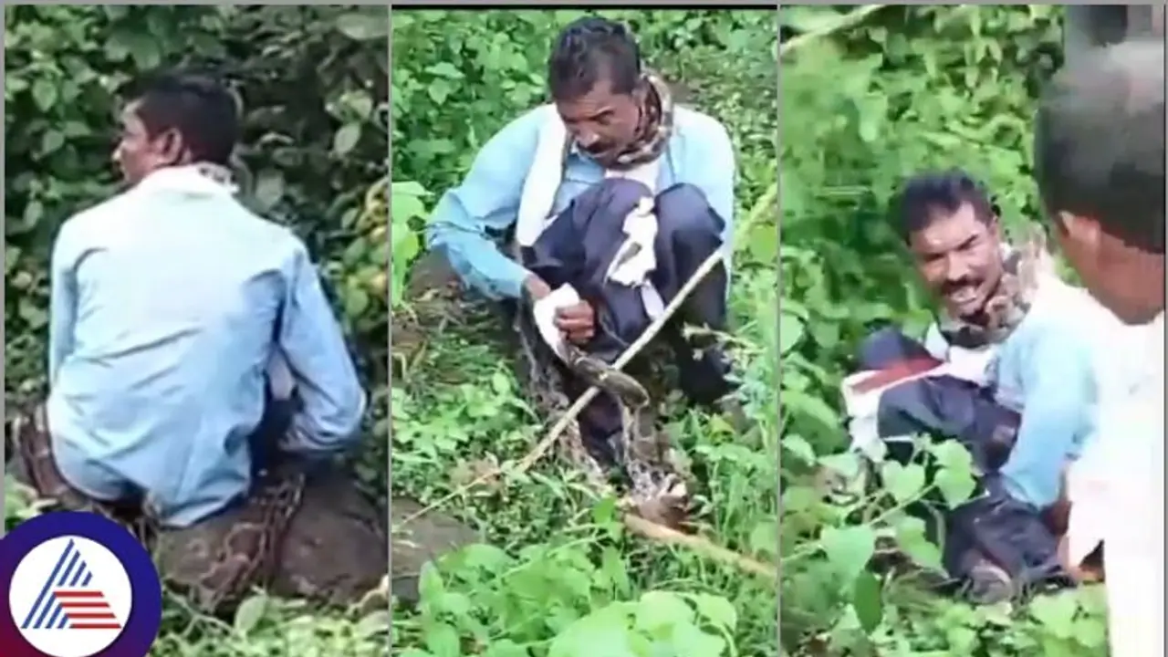 ಬಹಿರ್ದೆಸೆಗೆ ಕುಳಿತ ವ್ಯಕ್ತಿ ಮೇಲೆ ದಾಳಿ ಮಾಡಿ, ನುಂಗಲು ಮುಂದಾದ 13 ಅಡಿ ಉದ್ದದ ಹೆಬ್ಬಾವು!