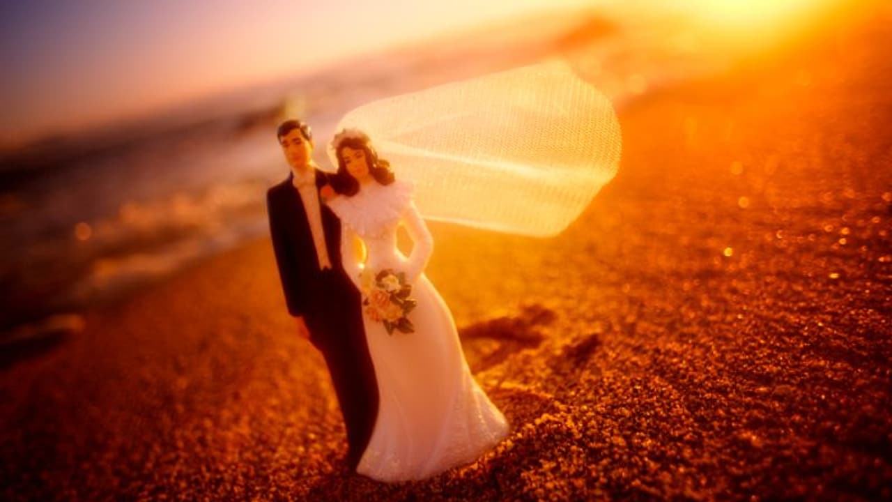 37 കാരി വിവാഹം ചെയ്തത് പാവയെ, ആദ്യകാഴ്ചയിൽ തന്നെ പ്രണയം തോന്നിയെന്നും യുവതി