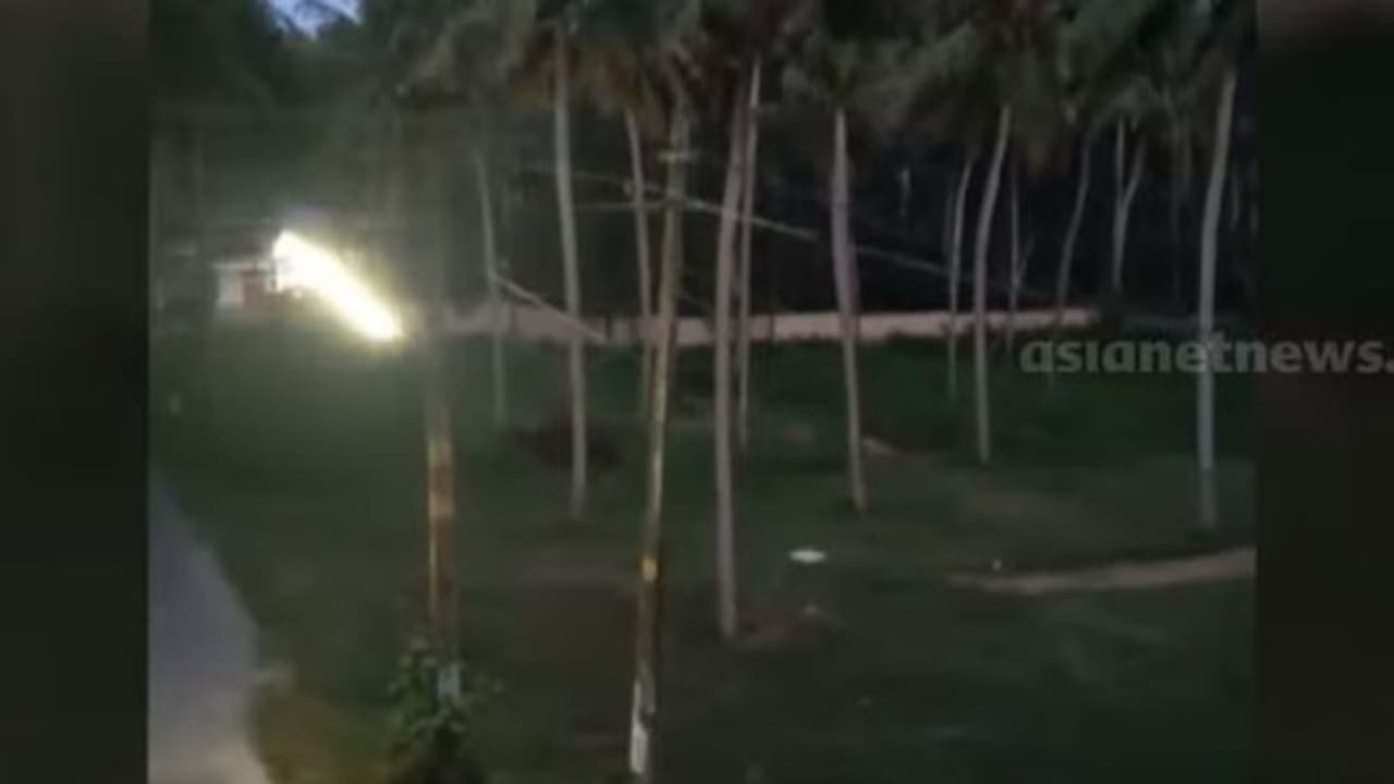 ഇന്നലെ ടെക്നോസിറ്റി ക്യാമ്പസിൽ ഇന്ന് ഹാപ്പിലാൻഡിന് സമീപം, തിരുവനന്തപുരത്ത് ജനവാസ കേന്ദ്രത്തിൽ കാട്ടുപോത്ത് ഇന്നലെ ടെക്നോസിറ്റി ക്യാമ്പസിൽ ഇന്ന് ഹാപ്പിലാൻഡിന് സമീപം, തിരുവനന്തപുരത്ത് ജനവാസ കേന്ദ്രത്തിൽ കാട്ടുപോത്ത്