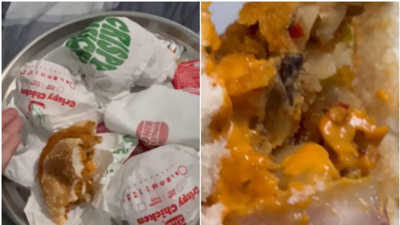 Viral Video: Insect found in Burger King Meal, sparks online outrage [watch]