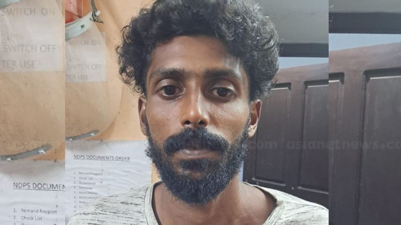 90 സെൻ്റിമീറ്ററോളം വളര്ന്ന നാല് ചെടി; വീട്ടുമുറ്റത്ത് കഞ്ചാവ് വളര്ത്തിയ യുവാവിനെ എക്സൈസ് അറസ്റ്റ് ചെയ്തു 90 സെൻ്റിമീറ്ററോളം വളര്ന്ന നാല് ചെടി; വീട്ടുമുറ്റത്ത് കഞ്ചാവ് വളര്ത്തിയ യുവാവിനെ എക്സൈസ് അറസ്റ്റ് ചെയ്തു