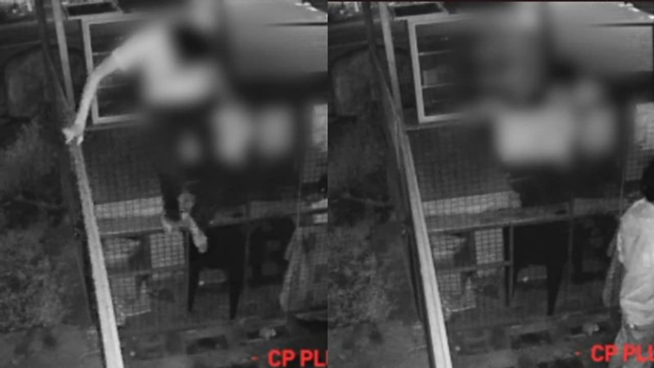 നാലാംഗ കുട്ടി സംഘം, അർദ്ധരാത്രി പതുങ്ങിയെത്തി, മൊബൈൽ ഫോൺ വെളിച്ചത്തിൽ വൈക്കത്ത് കടകൾ കുത്തിതുറന്ന് മോഷണം നാലാംഗ കുട്ടി സംഘം, അർദ്ധരാത്രി പതുങ്ങിയെത്തി, മൊബൈൽ ഫോൺ വെളിച്ചത്തിൽ വൈക്കത്ത് കടകൾ കുത്തിതുറന്ന് മോഷണം