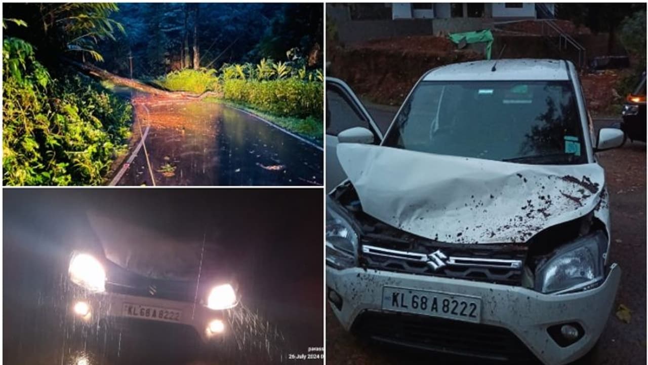 ഓടി കൊണ്ടിരുന്ന കാറിന് മുകളിൽ മരം വീണു, കുഞ്ഞടക്കമുള്ളവർ രക്ഷപ്പെട്ടത് തലനാരിഴയ്ക്ക് 