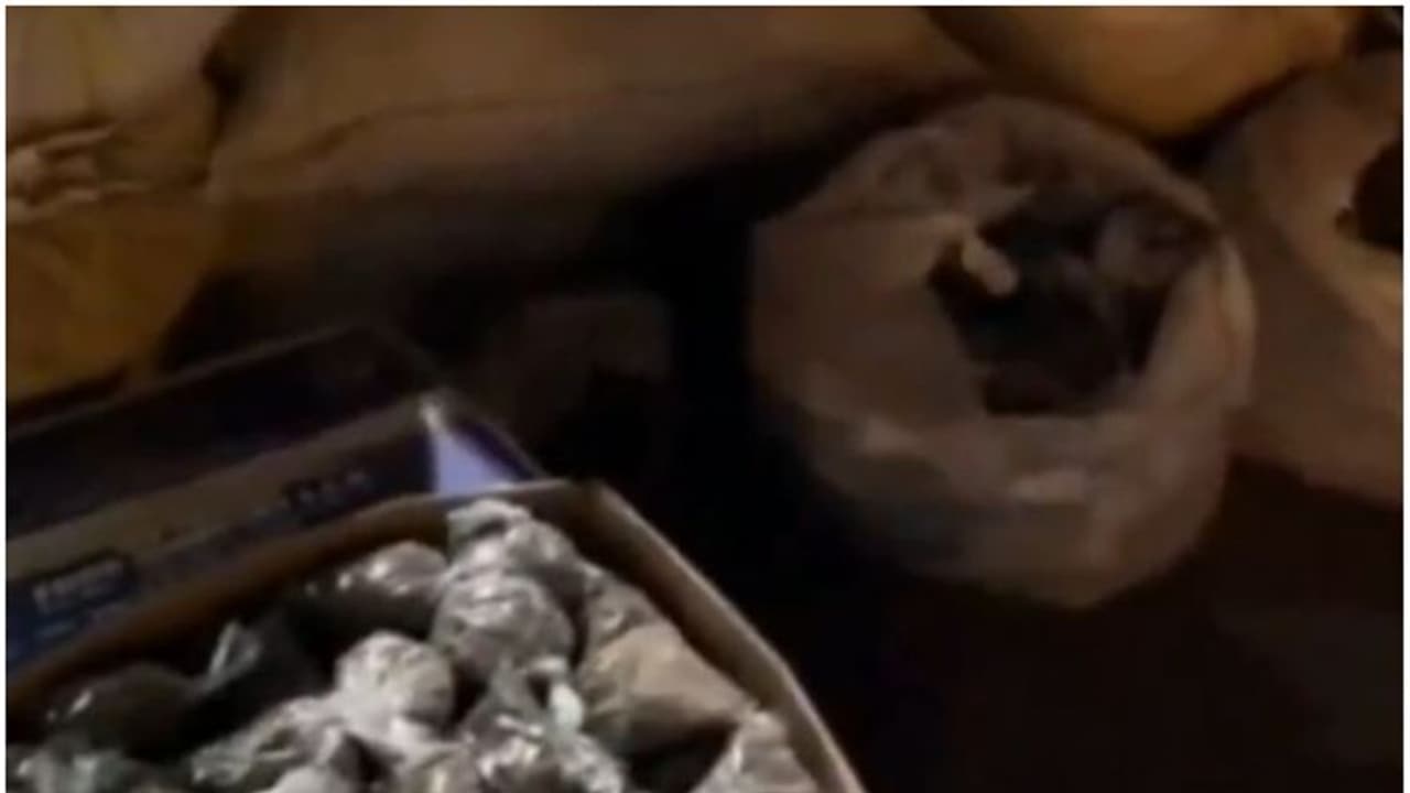 ഫാക്ടറിയില് റെയ്ഡ്; പരിശോധന നടത്തിയപ്പോള് പിടികൂടിയത് വന് തോതിലുള്ള പുകയില ഉല്പ്പന്നങ്ങൾ ഫാക്ടറിയില് റെയ്ഡ്; പരിശോധന നടത്തിയപ്പോള് പിടികൂടിയത് വന് തോതിലുള്ള പുകയില ഉല്പ്പന്നങ്ങൾ