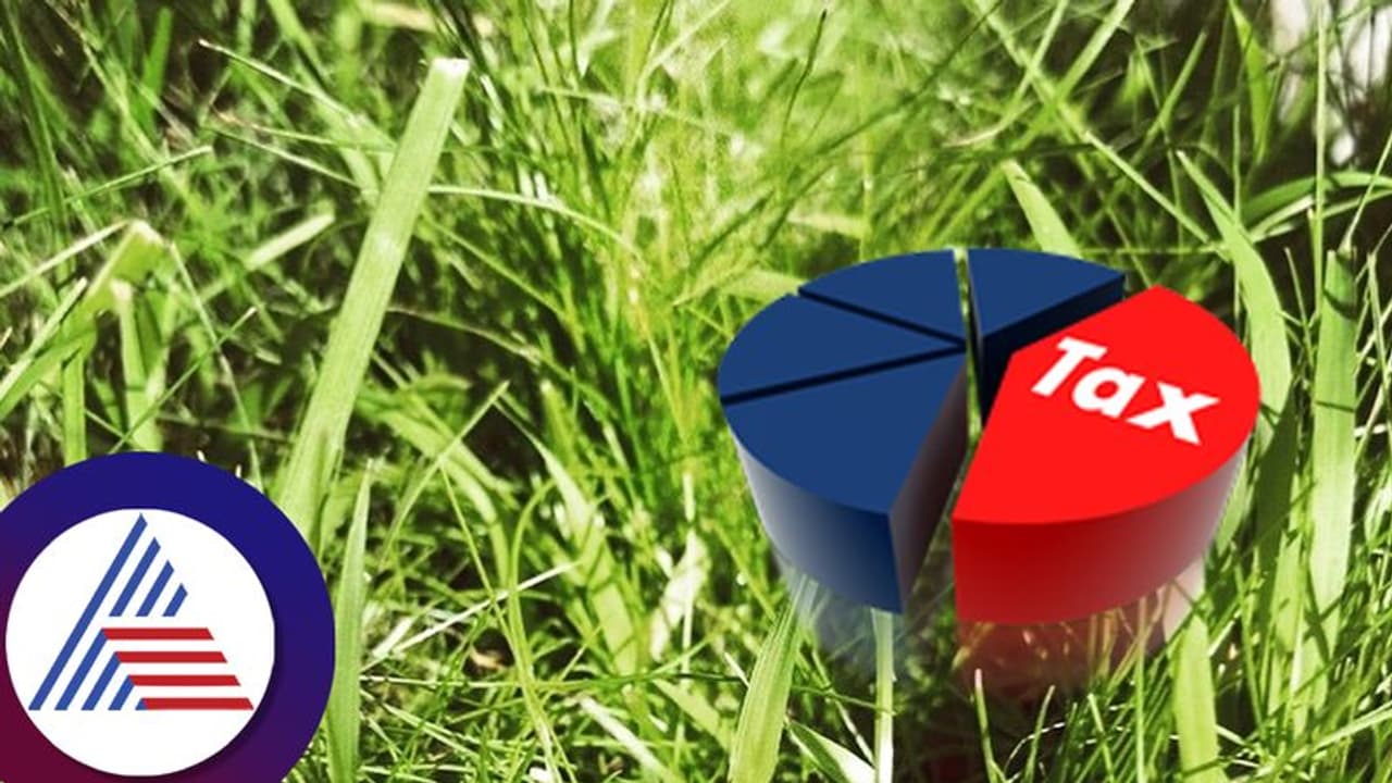 ನೌಕರಿ ಜೊತೆ ಹುಲ್ಲು ಬೆಳೆದರೆ ಸಾಕು, ಶೇ.100 ರಷ್ಟು ಟ್ಯಾಕ್ಸ್ ಉಳಿತಾಯ ಟಿಪ್ಸ್ ನೀಡಿದ ವೈರಲ್ ಸಿಎ! ನೌಕರಿ ಜೊತೆ ಹುಲ್ಲು ಬೆಳೆದರೆ ಸಾಕು, ಶೇ.100 ರಷ್ಟು ಟ್ಯಾಕ್ಸ್ ಉಳಿತಾಯ ಟಿಪ್ಸ್ ನೀಡಿದ ವೈರಲ್ ಸಿಎ!