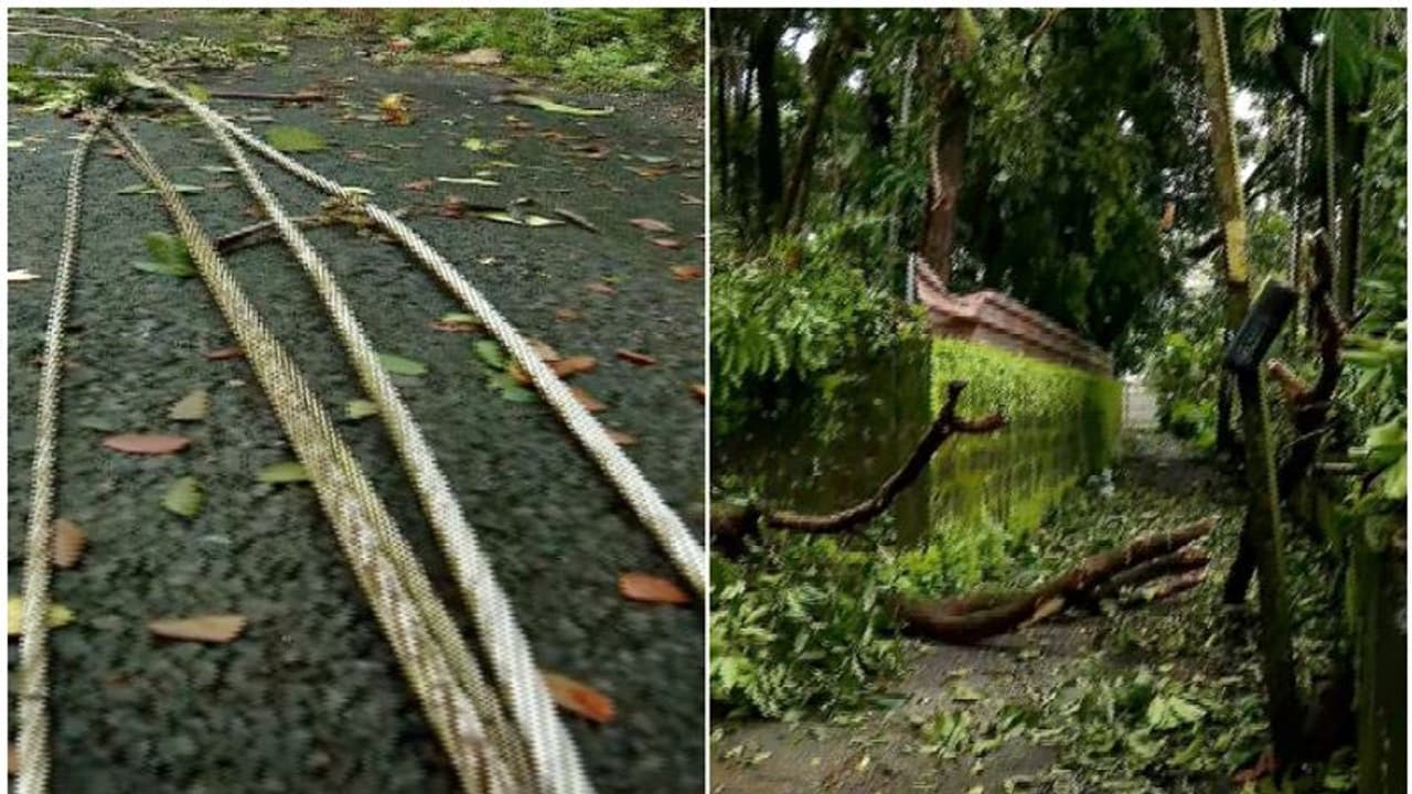 നിമിഷ നേരം കൊണ്ട് മിന്നൽ ചുഴലി വന്നു... പോയി; ഒന്നും രണ്ടുമല്ല 6 കോടിയുടെ നാശനഷ്ടം, പ്രതിസന്ധിയിലായി കെഎസ്ഇബി നിമിഷ നേരം കൊണ്ട് മിന്നൽ ചുഴലി വന്നു... പോയി; ഒന്നും രണ്ടുമല്ല 6 കോടിയുടെ നാശനഷ്ടം, പ്രതിസന്ധിയിലായി കെഎസ്ഇബി