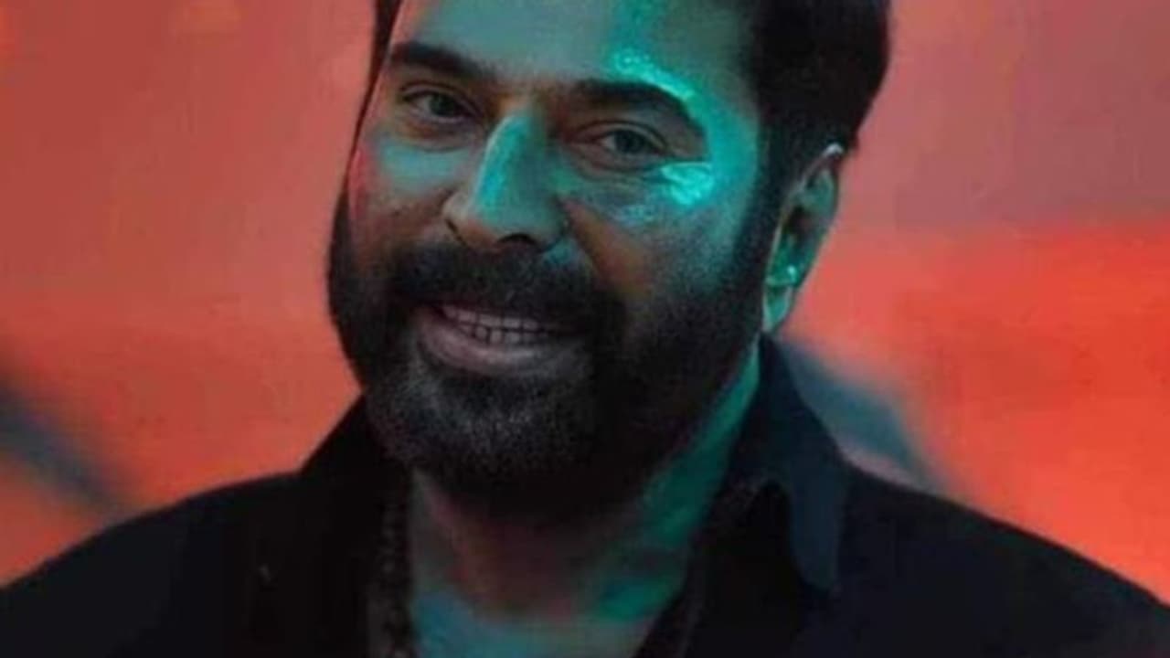 മമ്മൂട്ടിയുടെ ഹിറ്റിന്റെ ബജറ്റ് 23 കോടി, ടര്‍ബോ ശരിക്കും നേടിയതിന്റെ കണക്കുകള്‍, തിയറ്ററുകളില്‍ ഇനി അറബിയില്‍