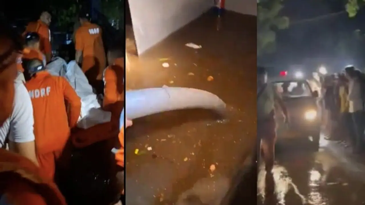 'Someone has lost it': Delhi High Court criticizes probe into deaths of civil services aspirants