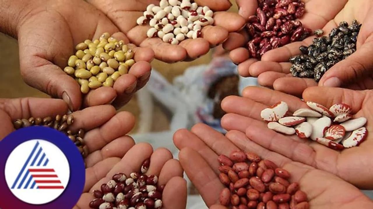 World Nature Conservation Day 2024: ಕಣ್ಮರೆಯಾದ ದೇಸೀ ಬೀಜಗಳಿಗೆ ಮರುಜೀವ!