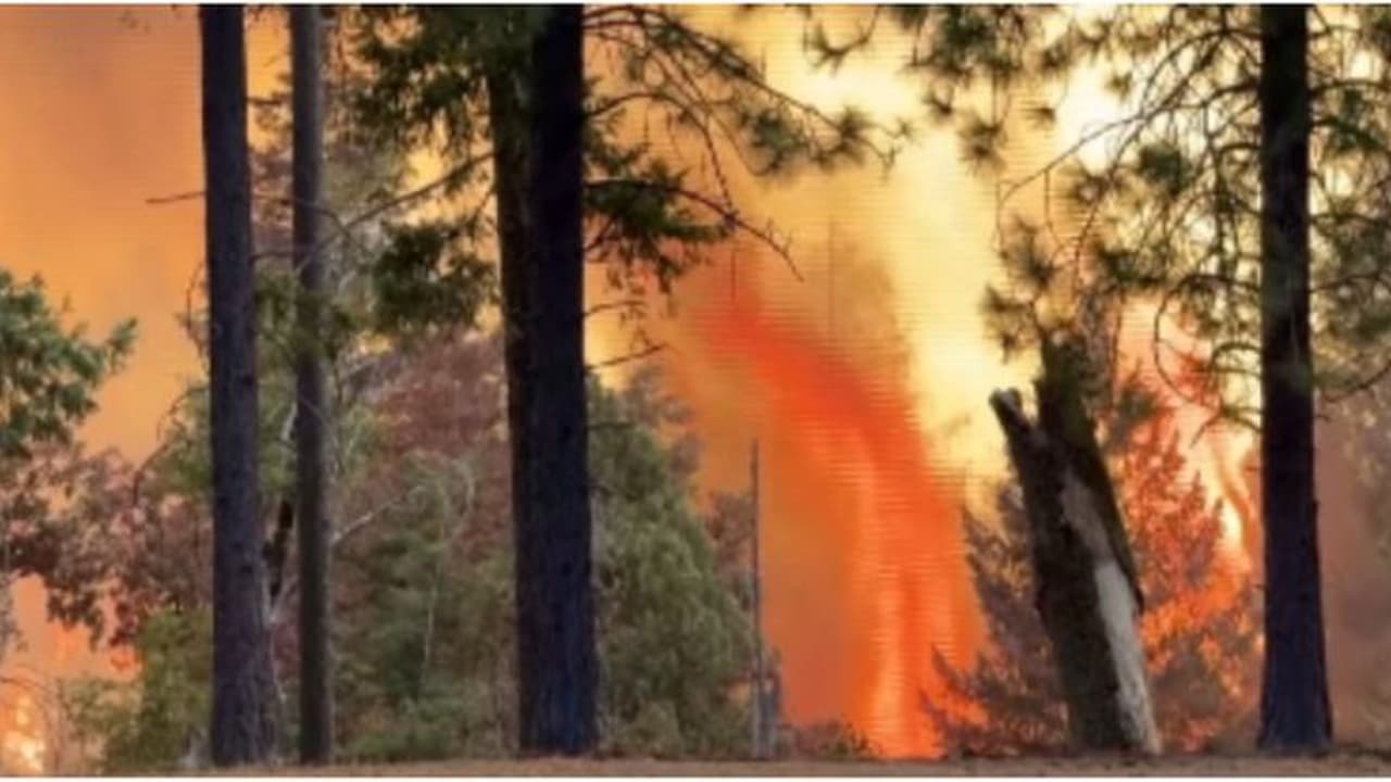 3,50,000 ഏക്കർ സ്ഥലം കത്തിനശിച്ചു; മനുഷ്യനിർമിത കാട്ടുതീ നിയന്ത്രണവിധേയമാക്കാനാകാതെ കാലിഫോർണിയ
