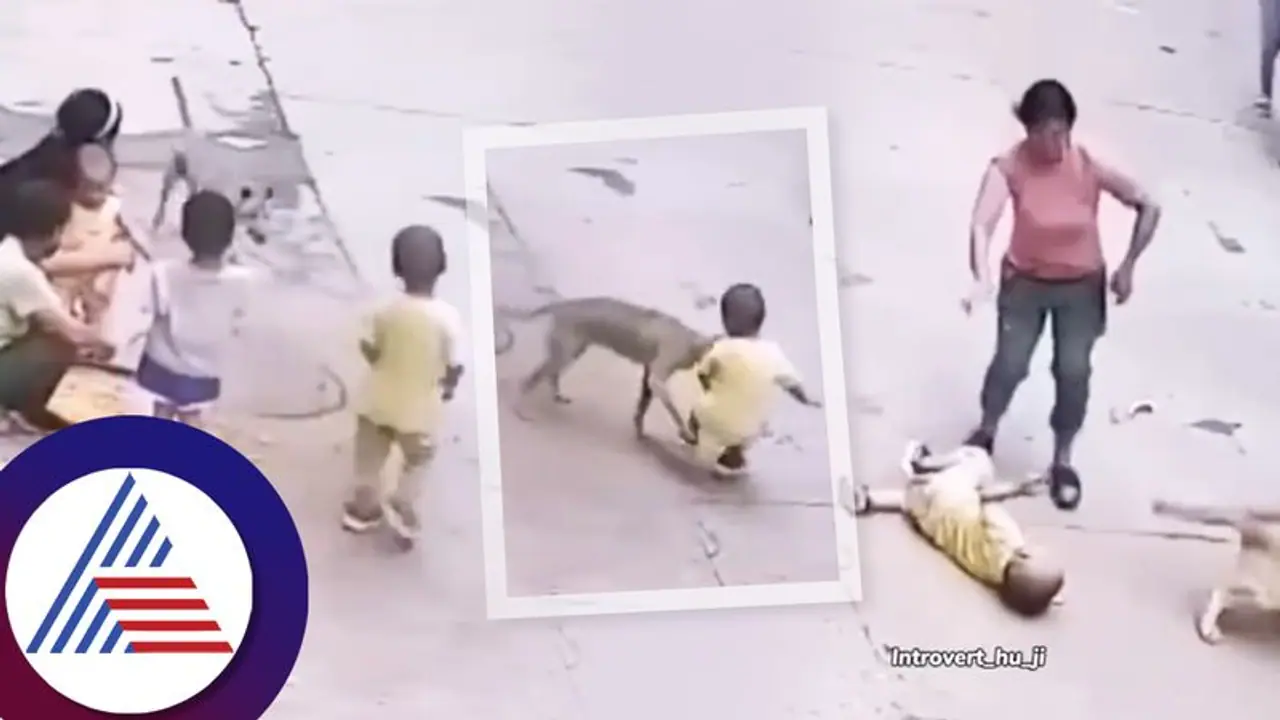 ಆಟವಾಡುತ್ತಿದ್ದ ಪುಟ್ಟ ಕಂದನ ದಾಳಿಯಿಂದ ರಕ್ಷಿಸಿದ ನಾಯಿ, ಮೈ ಜುಮ್ಮೆನಿಸುವ ದೃಶ್ಯ ಸೆರೆ!