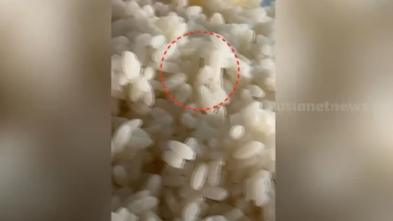 ഹോസ്റ്റലിൽ വിളമ്പിയ ചോറിൽ പുഴുവെന്ന് പരാതി, സംഭവത്തിന് പിന്നിൽ സംശയമുണ്ടെന്ന് ഹോസ്റ്റൽ ഉടമ ഹോസ്റ്റലിൽ വിളമ്പിയ ചോറിൽ പുഴുവെന്ന് പരാതി, സംഭവത്തിന് പിന്നിൽ സംശയമുണ്ടെന്ന് ഹോസ്റ്റൽ ഉടമ