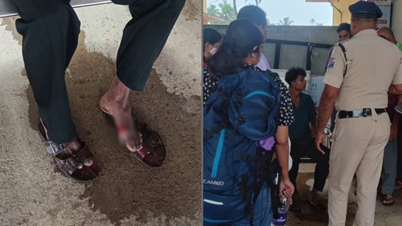 റെയിൽവെ സ്റ്റേഷനിലും രക്ഷയില്ല! ട്രെയിൻ കയറാനെത്തിയ യുവാവിനെ പ്ലാറ്റ്ഫോമിൽ വെച്ച് തെരുവുനായ ആക്രമിച്ചു റെയിൽവെ സ്റ്റേഷനിലും രക്ഷയില്ല! ട്രെയിൻ കയറാനെത്തിയ യുവാവിനെ പ്ലാറ്റ്ഫോമിൽ വെച്ച് തെരുവുനായ ആക്രമിച്ചു