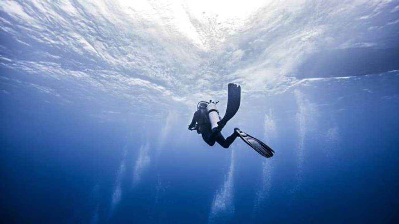 36 മണിക്കൂർ കടലിൽ, സ്കൂബാ ഡൈവിംഗിനിറങ്ങിയ ദമ്പതികൾ കൊടുങ്കാറ്റിൽ പെട്ടു, ഒടുവിൽ ജീവിതത്തിലേക്ക് 36 മണിക്കൂർ കടലിൽ, സ്കൂബാ ഡൈവിംഗിനിറങ്ങിയ ദമ്പതികൾ കൊടുങ്കാറ്റിൽ പെട്ടു, ഒടുവിൽ ജീവിതത്തിലേക്ക്