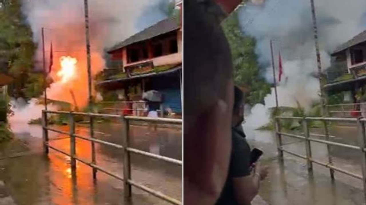 'ആളിപ്പടര്‍ന്ന് തീ, പിന്നാലെ ഉയരത്തിൽ പുക'; കോഴിക്കോട് തെങ്ങ് വൈദ്യുതി ലൈനിൽ വീണ് തീപടര്‍ന്നു