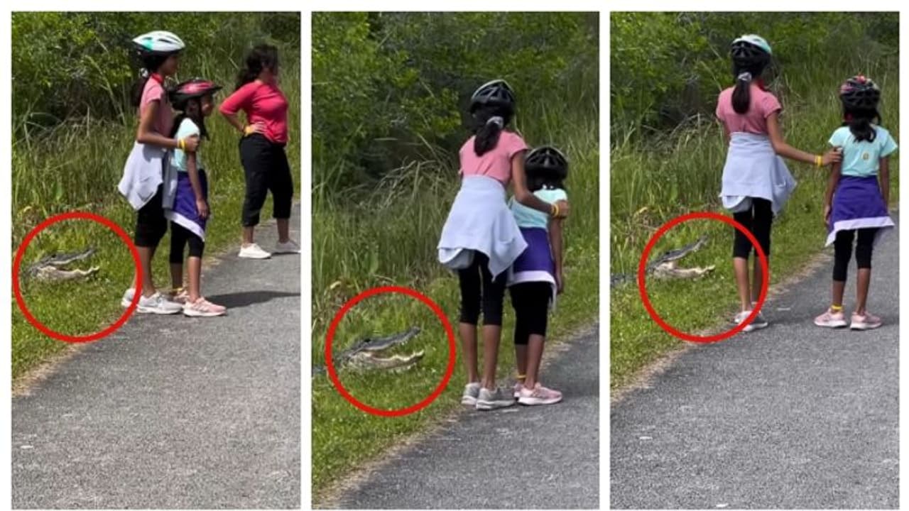 ചീങ്കണ്ണിക്ക് മുന്നിൽ നിന്ന് ഫോട്ടോയെടുക്കാൻ മക്കളെ നിർബന്ധിച്ച് മാതാപിതാക്കൾ; വീഡിയോയ്ക്കെതിരെ രൂക്ഷവിമർശനം ചീങ്കണ്ണിക്ക് മുന്നിൽ നിന്ന് ഫോട്ടോയെടുക്കാൻ മക്കളെ നിർബന്ധിച്ച് മാതാപിതാക്കൾ; വീഡിയോയ്ക്കെതിരെ രൂക്ഷവിമർശനം