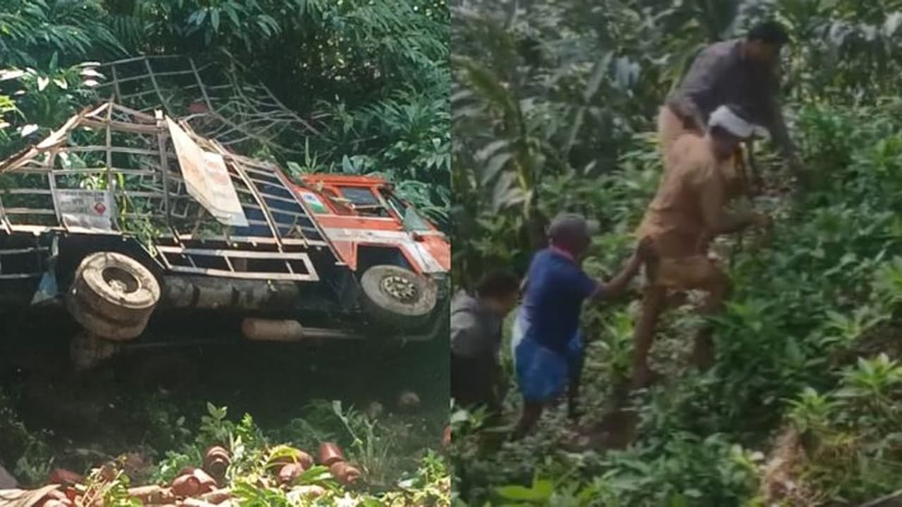 ഗ്യാസ് സിലിണ്ടറുകളുമായി വന്ന ലോറി കൊക്കയിലേക്ക് മറിഞ്ഞു; ഡ്രൈവർക്ക് പരിക്ക്, അപകടം അടിമാലിക്ക് സമീപം ഗ്യാസ് സിലിണ്ടറുകളുമായി വന്ന ലോറി കൊക്കയിലേക്ക് മറിഞ്ഞു; ഡ്രൈവർക്ക് പരിക്ക്, അപകടം അടിമാലിക്ക് സമീപം