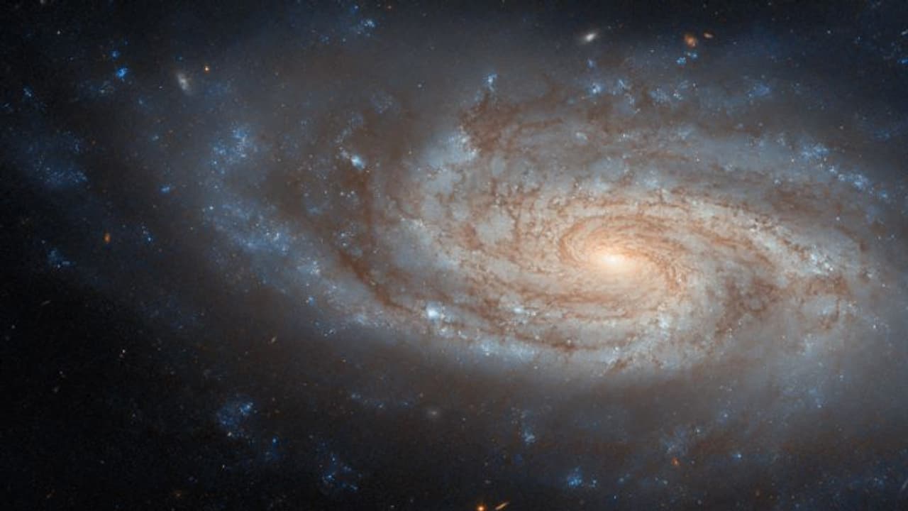 ഒന്ന് പവിഴപ്പുറ്റ് പോലെ, മറ്റൊന്നിന് ചുഴലിക്കാറ്റിന്‍റെ ഛായ; ഇതാ അതിശയിപ്പിക്കുന്ന ഗ്യാലക്‌സി ചിത്രങ്ങള്‍