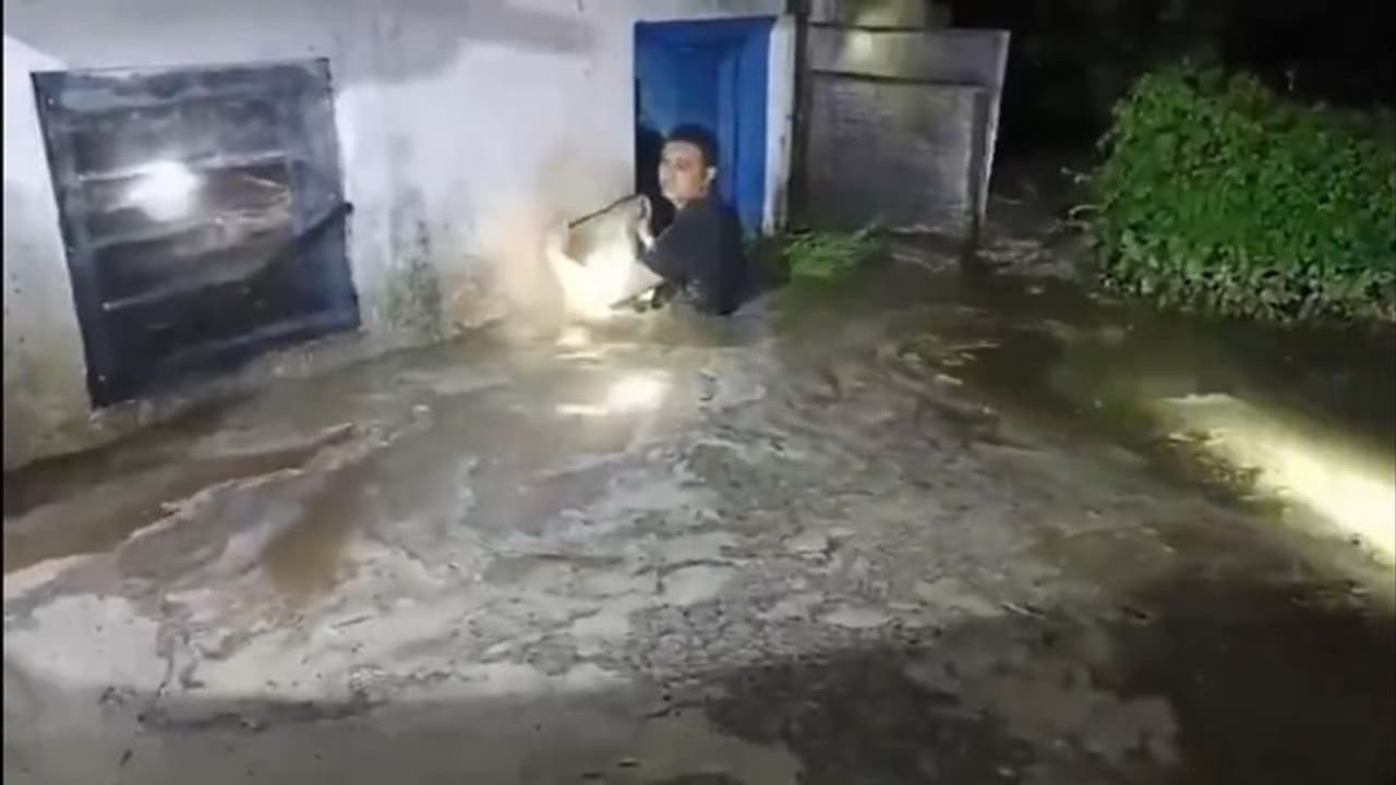 Heavy rains in Uttarakhand claim over 10 lives, damage Kedarnath route bridges Heavy rains in Uttarakhand claim over 10 lives, damage Kedarnath route bridges