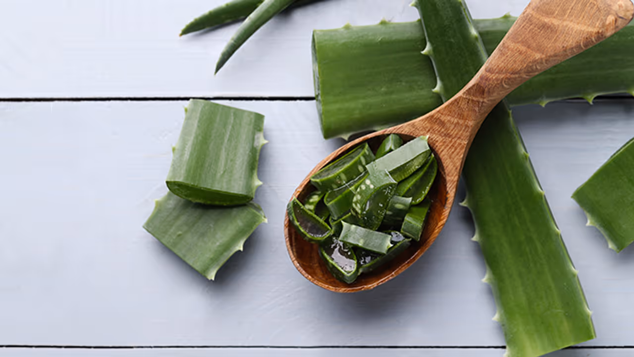 സൺ ടാൺ മാറാൻ കറ്റാർവാഴ കൊണ്ട് ഫേസ് പാക്കുകൾ സൺ ടാൺ മാറാൻ കറ്റാർവാഴ കൊണ്ട് ഫേസ് പാക്കുകൾ