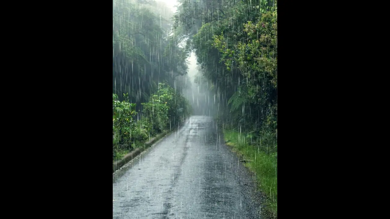 Kerala to witness heavy rainfall with lightning; IMD sounds yellow alert in 7 districts today