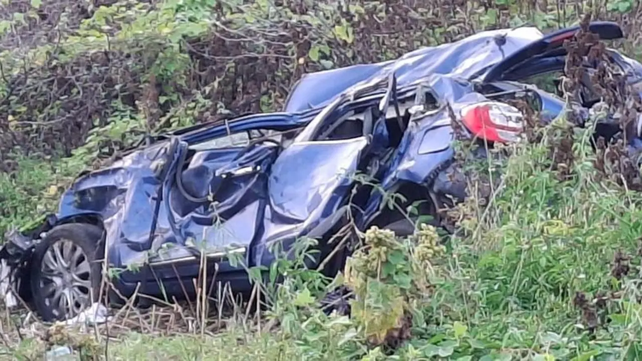 4 சட்டக்கல்லூரி மாணவர்களை காவு வாங்கிய நாய்; விபத்தில் அப்பளம் போல் நொறுங்கிய கார்