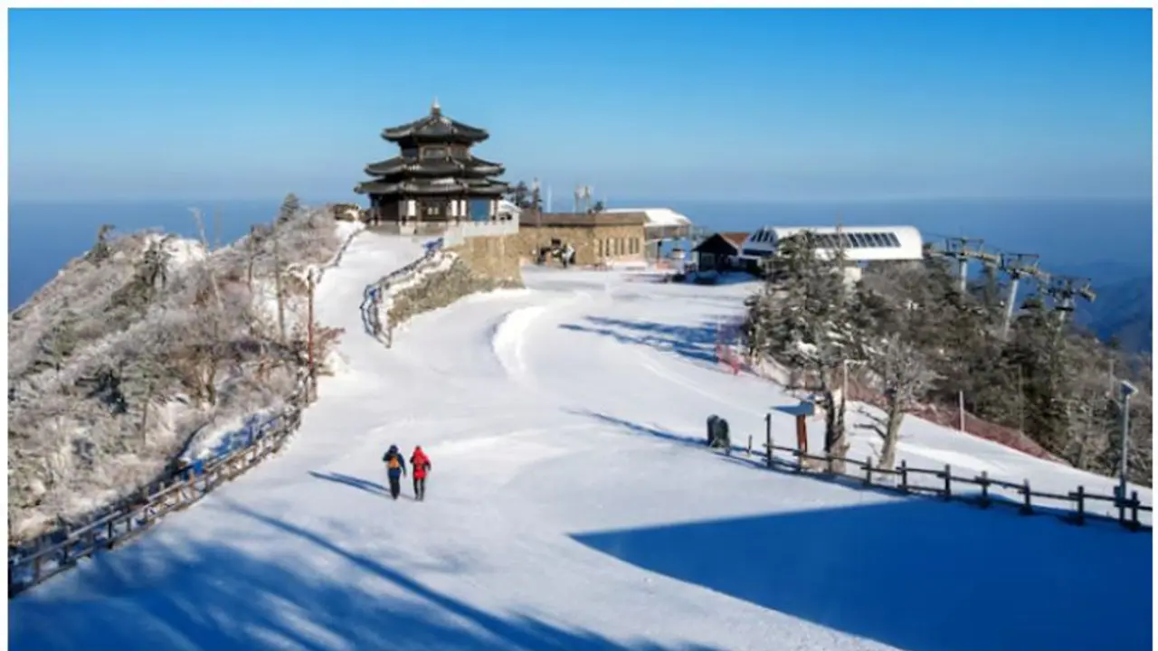 From Dream to Dismay: Chennai resident’s Ladakh vacation takes dark turn