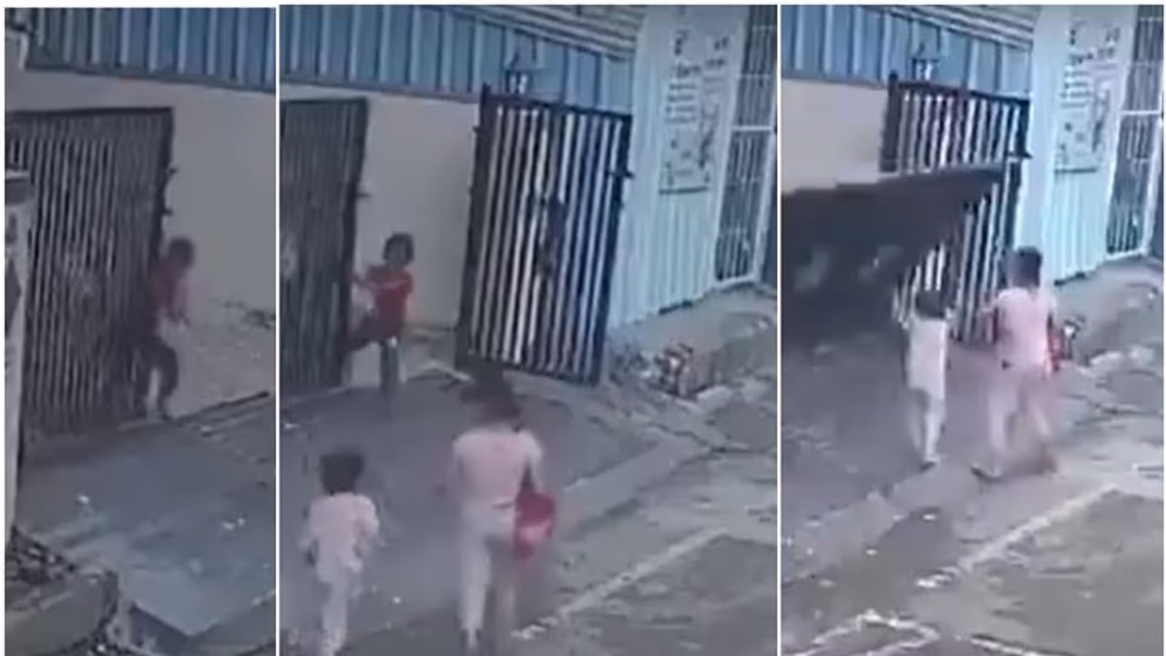 വീടിന്റെ ഗേറ്റ് അടയ്ക്കവേ മറിഞ്ഞ് വീണു, പതിച്ചത് റോഡിലൂടെ പോയ 3 വയസുകാരിയുടെ ദേഹത്ത്, ദാരുണാന്ത്യം വീടിന്റെ ഗേറ്റ് അടയ്ക്കവേ മറിഞ്ഞ് വീണു, പതിച്ചത് റോഡിലൂടെ പോയ 3 വയസുകാരിയുടെ ദേഹത്ത്, ദാരുണാന്ത്യം