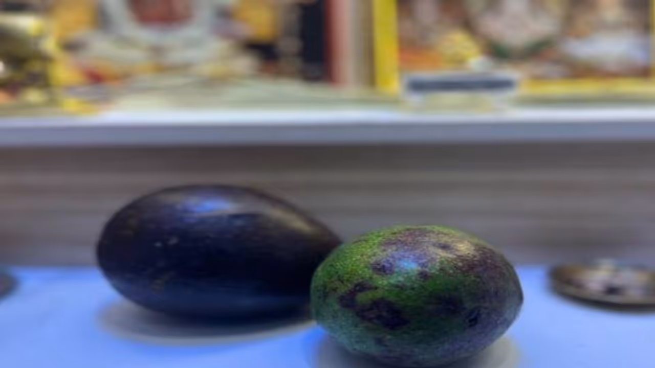 ആഹാ വെറൈറ്റിയാണല്ലോ; വാഴപ്പഴത്തിന് പകരം പൂജയ്ക്ക് അവക്കാഡോ, രസികൻ കമന്റുകളും ആഹാ വെറൈറ്റിയാണല്ലോ; വാഴപ്പഴത്തിന് പകരം പൂജയ്ക്ക് അവക്കാഡോ, രസികൻ കമന്റുകളും