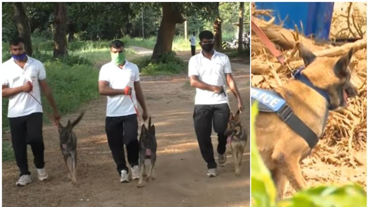 മായയും മര്‍ഫിയും ഏയ്ഞ്ചലും; വയനാട്ടിലും മലപ്പുറത്തും കേരള പൊലീസിന്‍റെ മുഖമായി മാറുകയാണ് ഇവർ