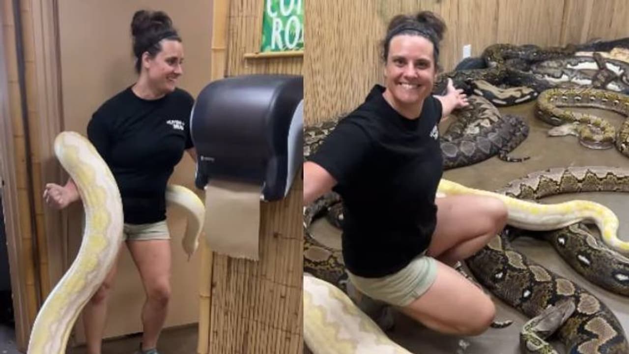 കയ്യിലൊരു കൂറ്റൻ പാമ്പ്, 'രഹസ്യമുറി' തുറന്നപ്പോൾ വീണ്ടും ഞെട്ടി കാഴ്ച്ചക്കാർ, വൈറലായി വീഡിയോ കയ്യിലൊരു കൂറ്റൻ പാമ്പ്, 'രഹസ്യമുറി' തുറന്നപ്പോൾ വീണ്ടും ഞെട്ടി കാഴ്ച്ചക്കാർ, വൈറലായി വീഡിയോ