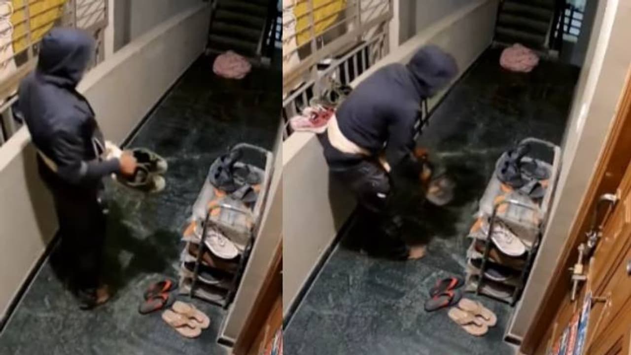 സിസിടിവി ദൃശ്യങ്ങൾ വൈറൽ, കള്ളൻ കൊള്ളാലോ എന്ന് നെറ്റിസൺസ്, ഇഷ്ടപ്പെട്ട ഷൂ തന്നെ നോക്കിയെടുക്കുന്ന യുവാവ്