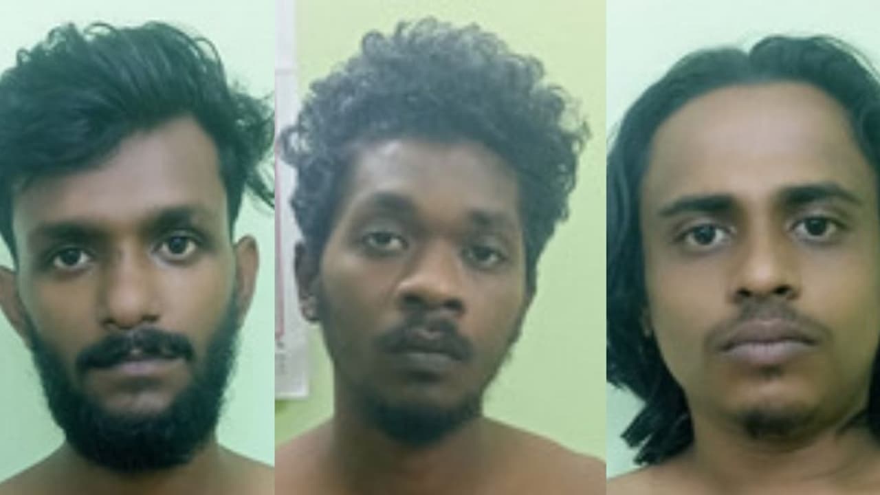 പ്രായപൂർത്തിയാകാത്ത പെൺകുട്ടിയെ ബൈക്കിൽ തട്ടിക്കൊണ്ടുപോയ കേസിൽ 3 പേർ അറസ്റ്റിൽ പ്രായപൂർത്തിയാകാത്ത പെൺകുട്ടിയെ ബൈക്കിൽ തട്ടിക്കൊണ്ടുപോയ കേസിൽ 3 പേർ അറസ്റ്റിൽ