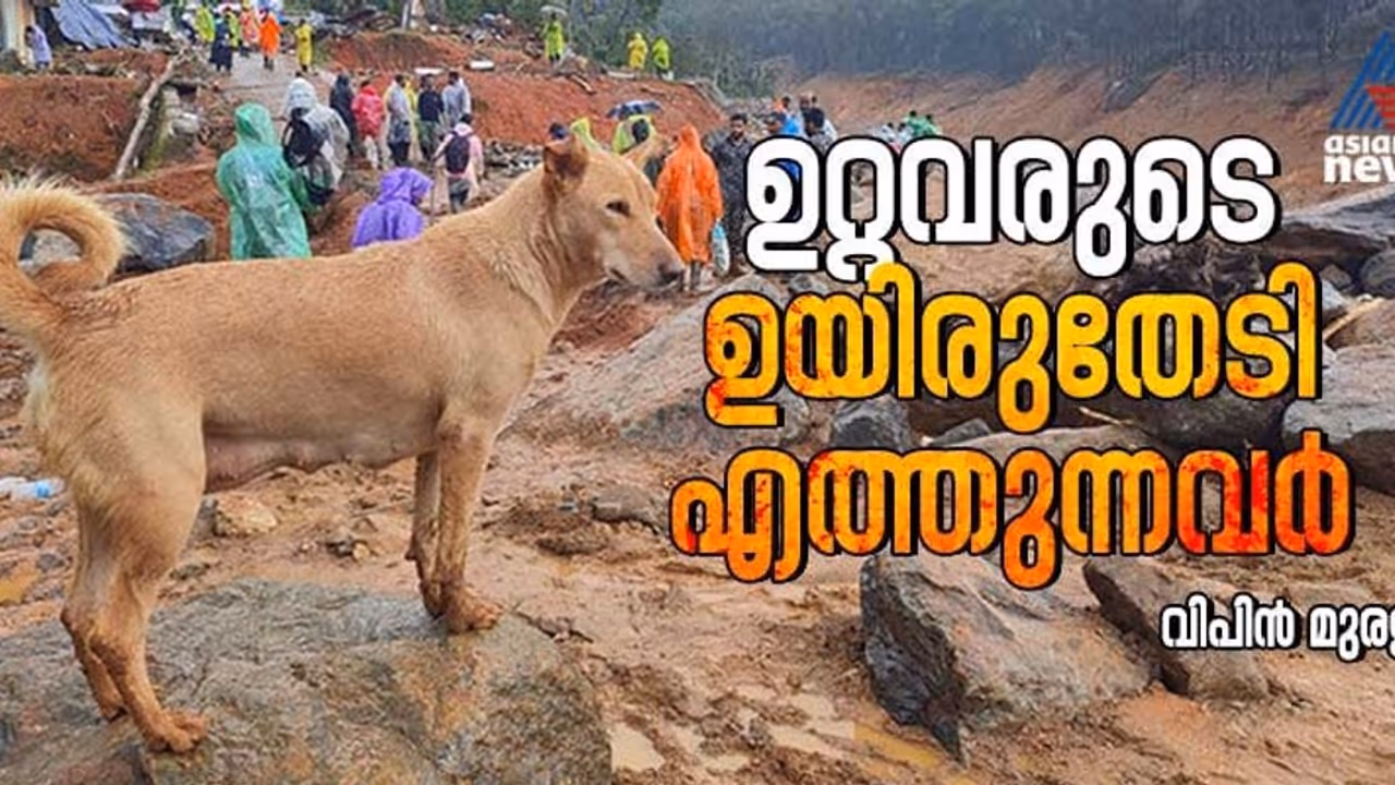 'ഇനി ഇതുപോലൊരു വീട് ആയുസ്സിൽ പണിയാൻ കഴിയില്ല'; ഉറ്റവരുടെ ഉയരുതേടിയെത്തുന്നവര് 'ഇനി ഇതുപോലൊരു വീട് ആയുസ്സിൽ പണിയാൻ കഴിയില്ല'; ഉറ്റവരുടെ ഉയരുതേടിയെത്തുന്നവര്